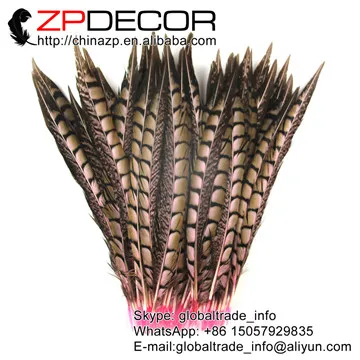 Ведущим поставщиком zpdecor 30-35 см(12-14 дюймов) 50 шт./лот пикантные Хорошее качество окрашенная леди Амхерст хвост перья для свадебного декора - Цвет: pink