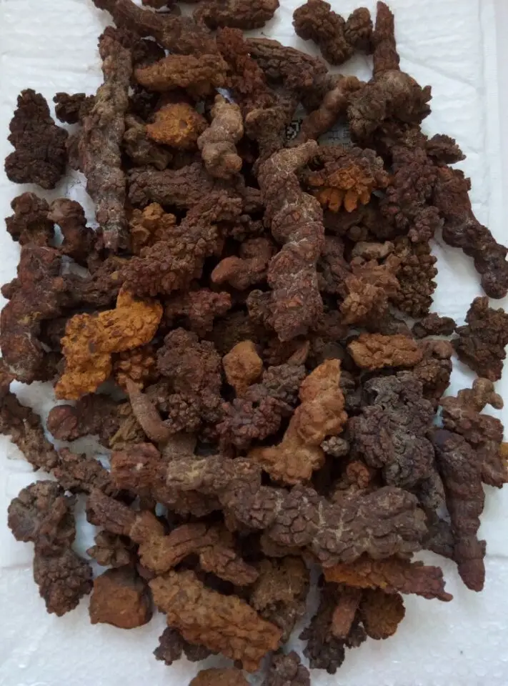 Оптовая цена! 2 2lb большой COPROLITE fossized динозавр Poop образец Fossi|fossi| |