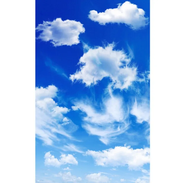 Голубое небо китайские индивидуальные 3D затемняющие шторы занавески для