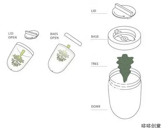 Растения животные сезоне вкус специи банку Приправа бутылки соль кактус сосны