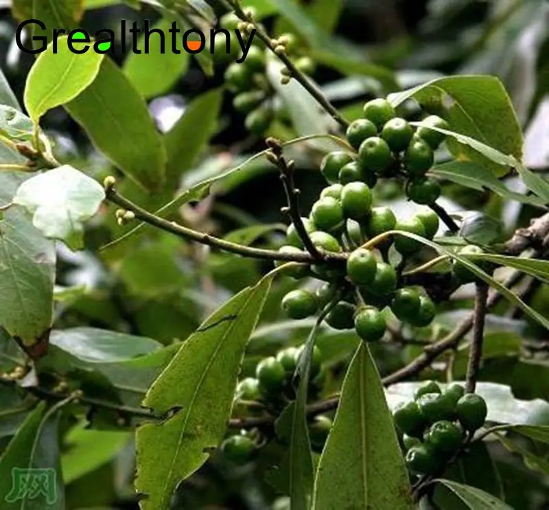 Litsea Cubeba масло 100 мл/фазана для перца бактерицидный аромат байки покупка