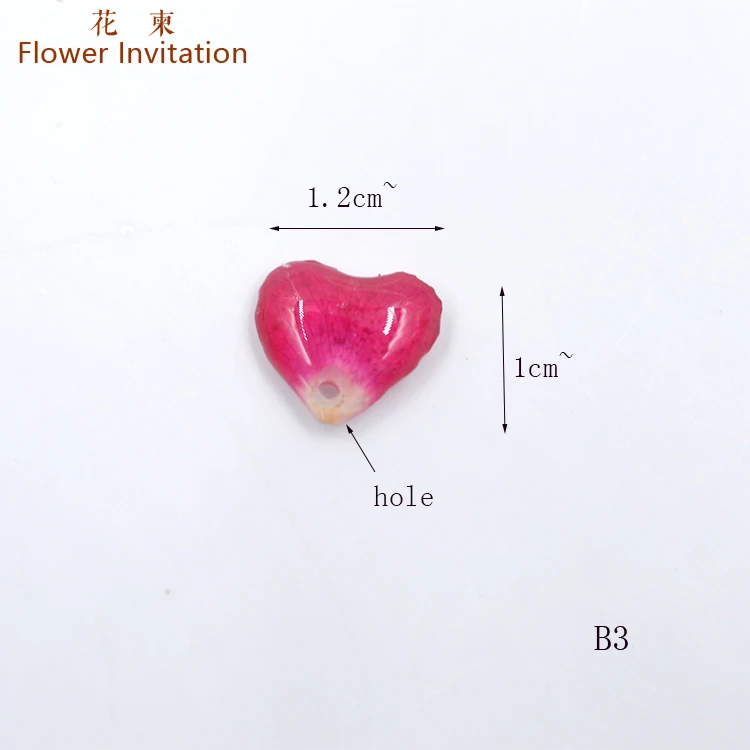 

Flower Invitation Small Dripping Glue Petal /DIY Pure Hand Made Plant Dried Flowers Ornaments With Hole Pendant