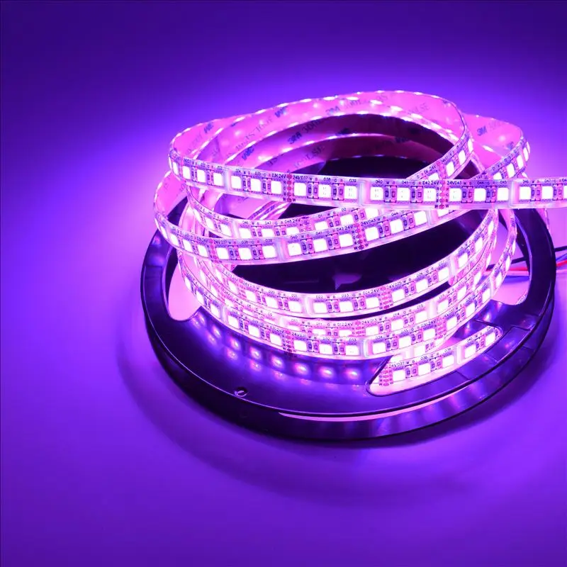 5mX супер яркость 3528SMD светодиодный полосы света DC24V вход 240 светодиодный/м холодный белый+ теплый белый настраиваемый CCT