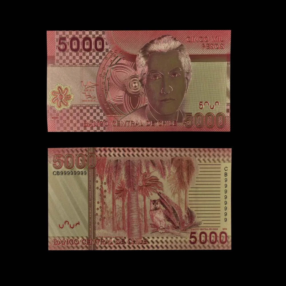 10pcs/lot New Products 2019 Chile 5000 Peso Gold Banknote Colorful World for Souvenirs Golden Bank Notes | Дом и сад