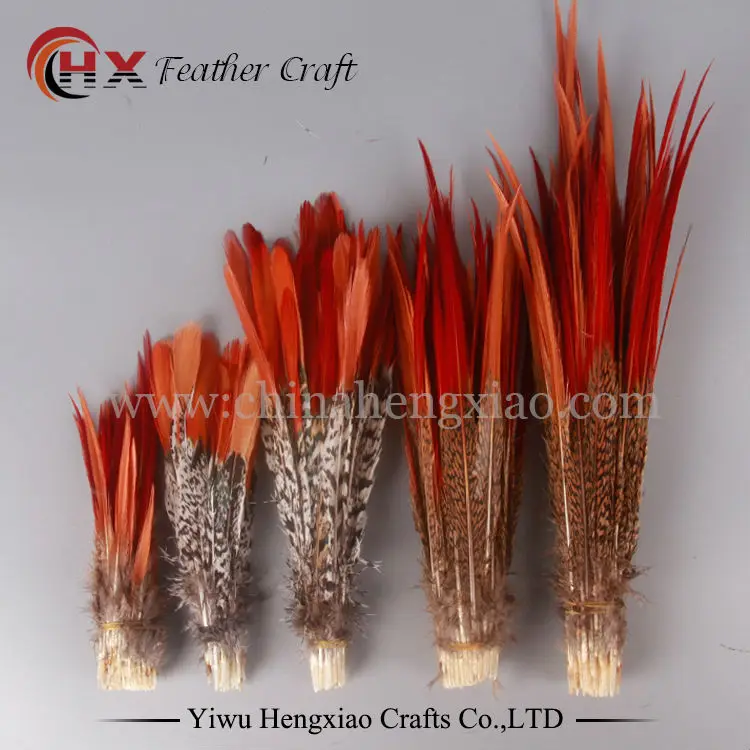10 шт. натуральные перья фазана 5 размеров|lady amherst|feather plumeslady amherst pheasant |