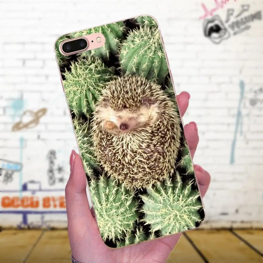 Для Galaxy J1 J2 J3 J330 J4 J5 J6 J7 J730 J8 2015 2016 2017 2018 mini Pro мягкий чехол Капа мультфильм Ежик |