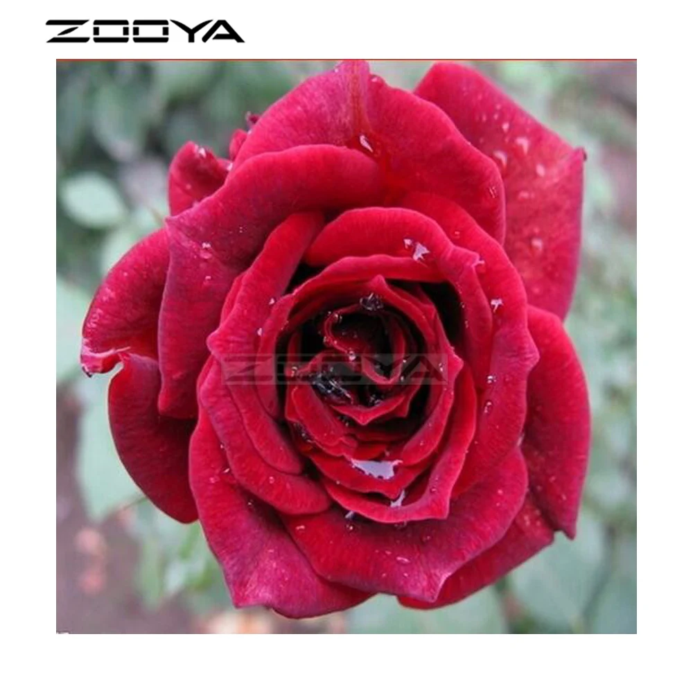 ZOOYA DIY рукоделие алмазная живопись красная роза со стразами вышивка все дрель