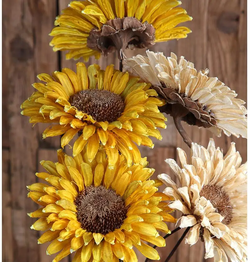 5pcs Sunflower dry flower bouquets dried flowers sitting room adornment eternal life really natural simulation sunflower | Дом и сад
