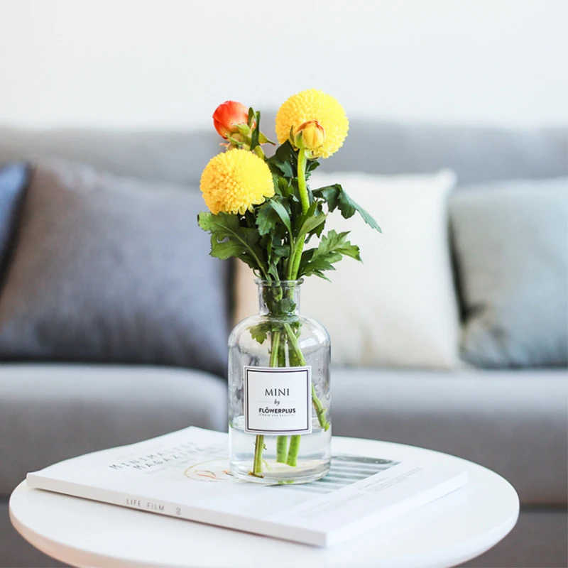 RUX WORKSHOP Wedding decoration glass vase Home Decoration small Transparent Ater plant Hydroponic Pot Flower | Дом и сад