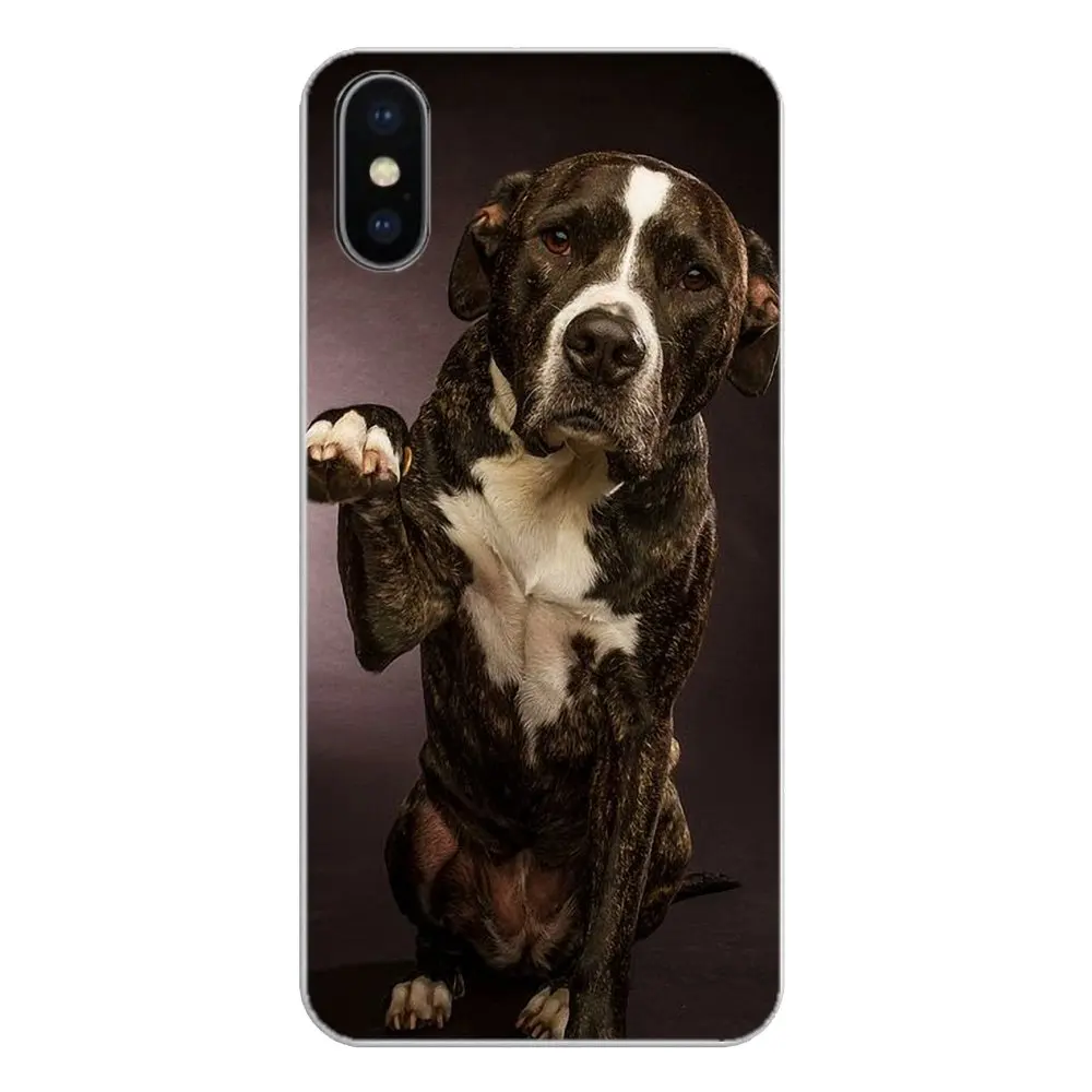 Для iPod Touch iPhone 4 4S 5 5S 5C SE 6 6S 7 8 X XR XS Plus MAX Pit Bull Dog Pitbull картина со щенками животных