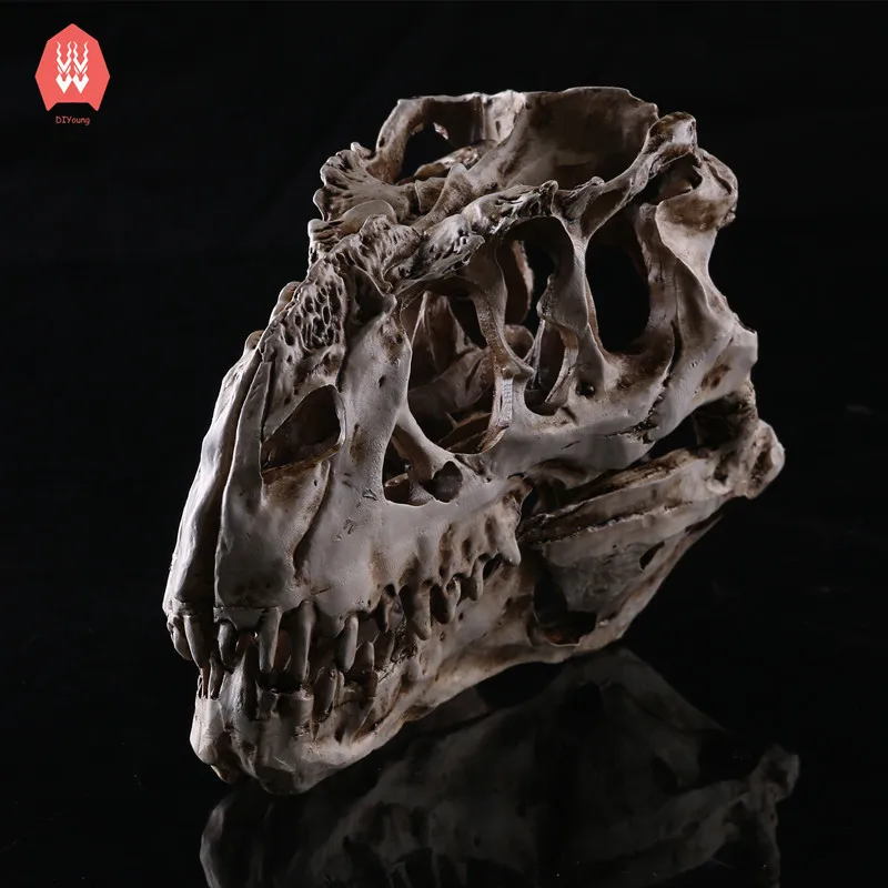 

Creative Resin Tyrannosaurus Skull Skeleton Head Figurine Sculpture Dinosaur Craft Statues for Decoration Halloween Home Decor