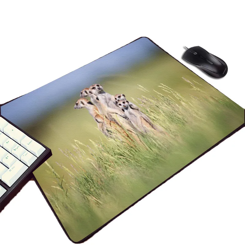 Mairuige 220x180x2MM Размеры Мини Pc компьютерная игра Мышь pad сурикатов животный принт