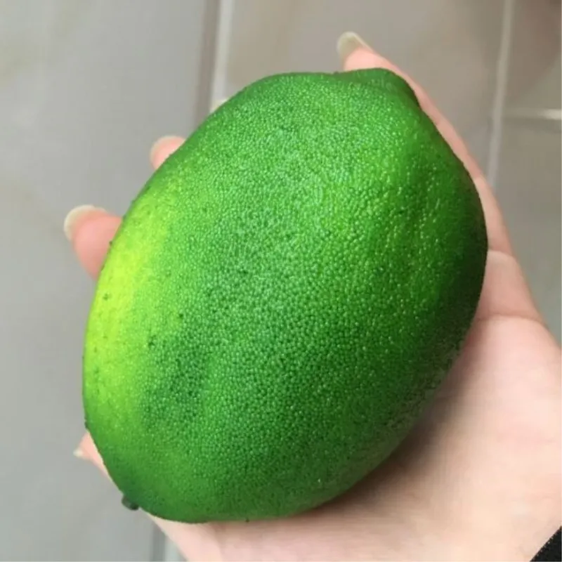 1 шт. искусственные фрукты DIY Пластиковые поддельные фрукты гостиная кухня домашний декор Свадебные украшения Рождество