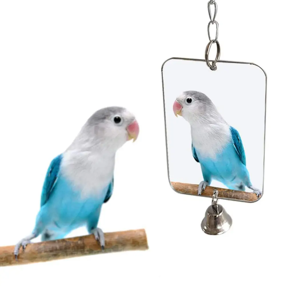 

1Pc Parrot Bird Parakeet Hanging Mirror Bell Play Toy Cage Decoration Pet Supplies