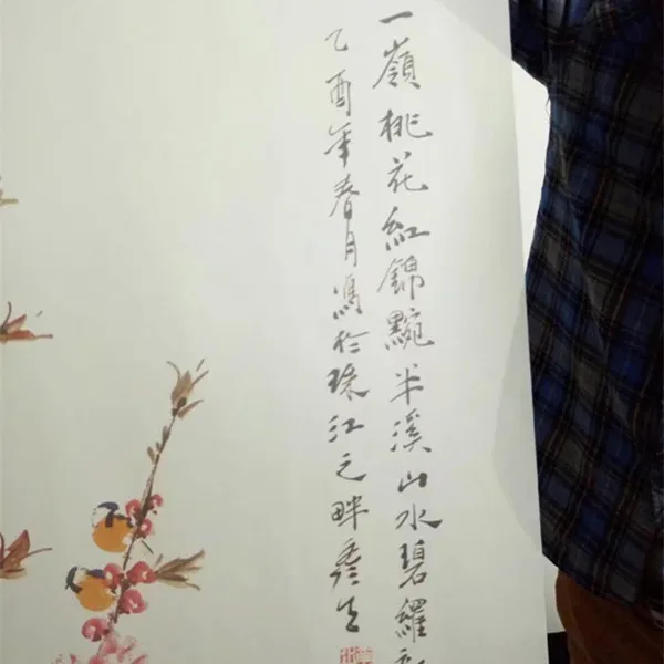 Новинка подвесной экран в китайском стиле занавеска для входной двери с мягкой