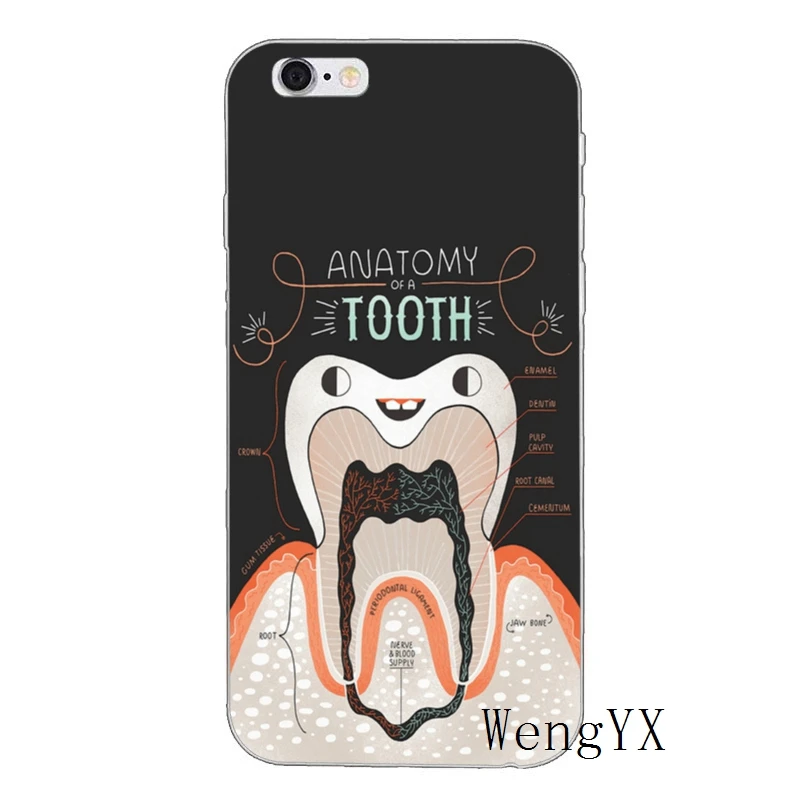 Мягкий чехол для samsung Galaxy S10 Lite S9 S8 S7 S6 edge Plus S5 S4 Note 9 8 5 4 mini - Цвет: Tooth-LoveClear-A-11