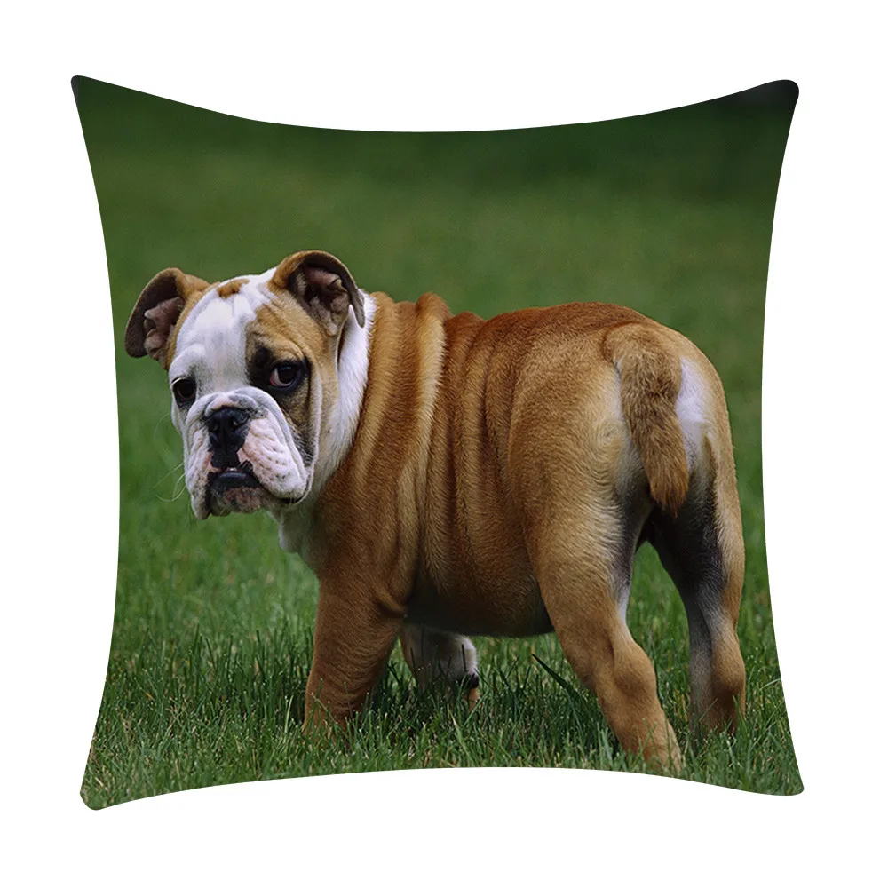 6 видов стилей чехлы для диванов из полиэстера с принтом аксессуары украшения