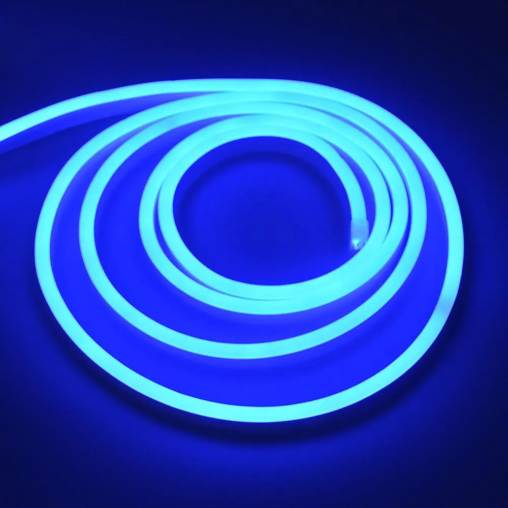 220V неоновый светильник s RGB белый/теплый белый Водонепроницаемый гибкий светодиодный светильник светодиодный клейкие ленты с адаптер для розеток европейского стандарта неоновая вывеска для организаций и магазинов лампа напольная декоративная - Испускаемый цвет: Blue