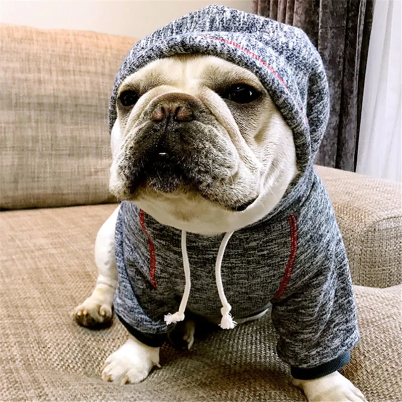 Bigeyedog собачья толстовка с капюшоном зимняя одежда для собак пальто щенков куртка