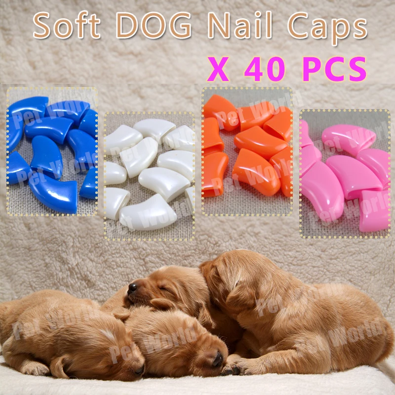 Бесплатная доставка 40 шт./лот уход за собаками на пальцах защита - Цена: 192.12