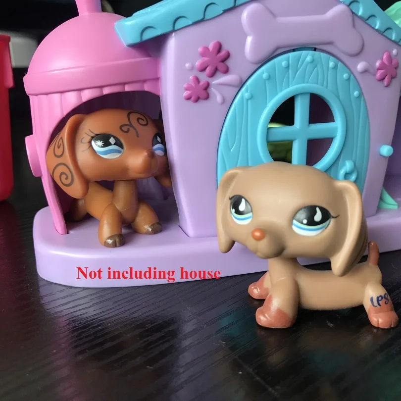 Pet Shop #518 такса загар коричневый с голубыми каплевидными глазами # свободная