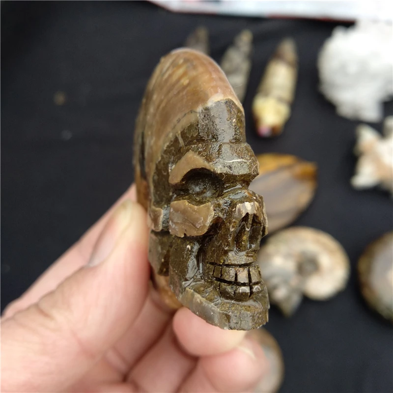 DHX SW натуральный аммонит раковины fossil ручной резной череп Healing драгоценный камень minarel образцы резьба Прохладный Череп