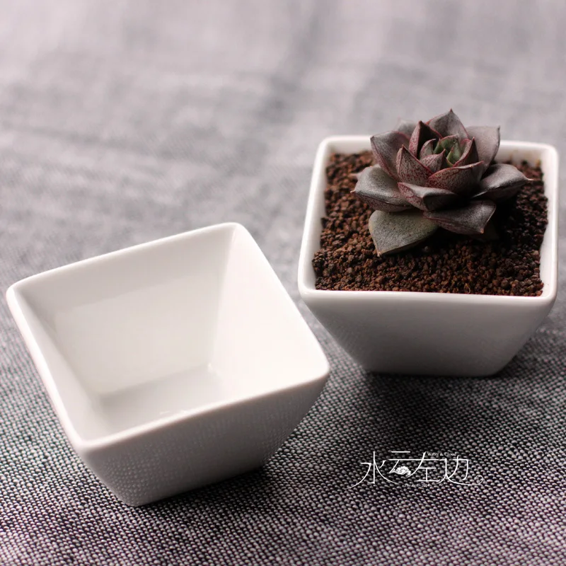Простые белые косой стороной квадратные вентиляторы суккуленты керамические zakka