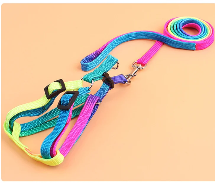 Colorful Ошейник для домашних животных, набор поводков для маленьких собак, аксессуары для маленьких собак, нейлоновый поводок, поводок для домашних животных, ошейник для собачки, разноцветный ручной ремень, поставка 30 - Цвет: Colorful