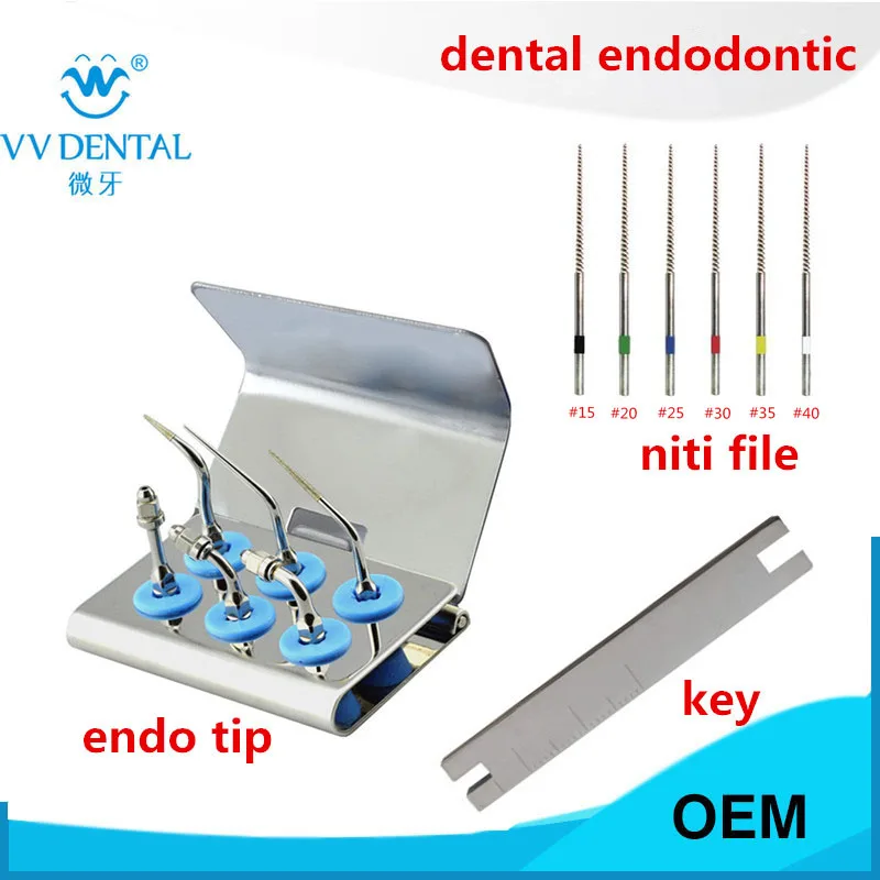 Dental ultrasonic endodontic tips endo tip teeth whitening kit endodontic root canal files for SATELEC WOODPECKER handpiece bettina basrani endodontic radiology