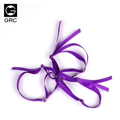 GRC UDR RR10 90050 LOSI Baj Rey запасные украшения для шин R/C модель игрушки автомобильные