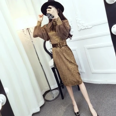 Шампанское New Autumn Dress Brand Fashion Runway Designer Velvet dress chiffon lanterns sleeve gold velvet dress - Цвет: Шампанское