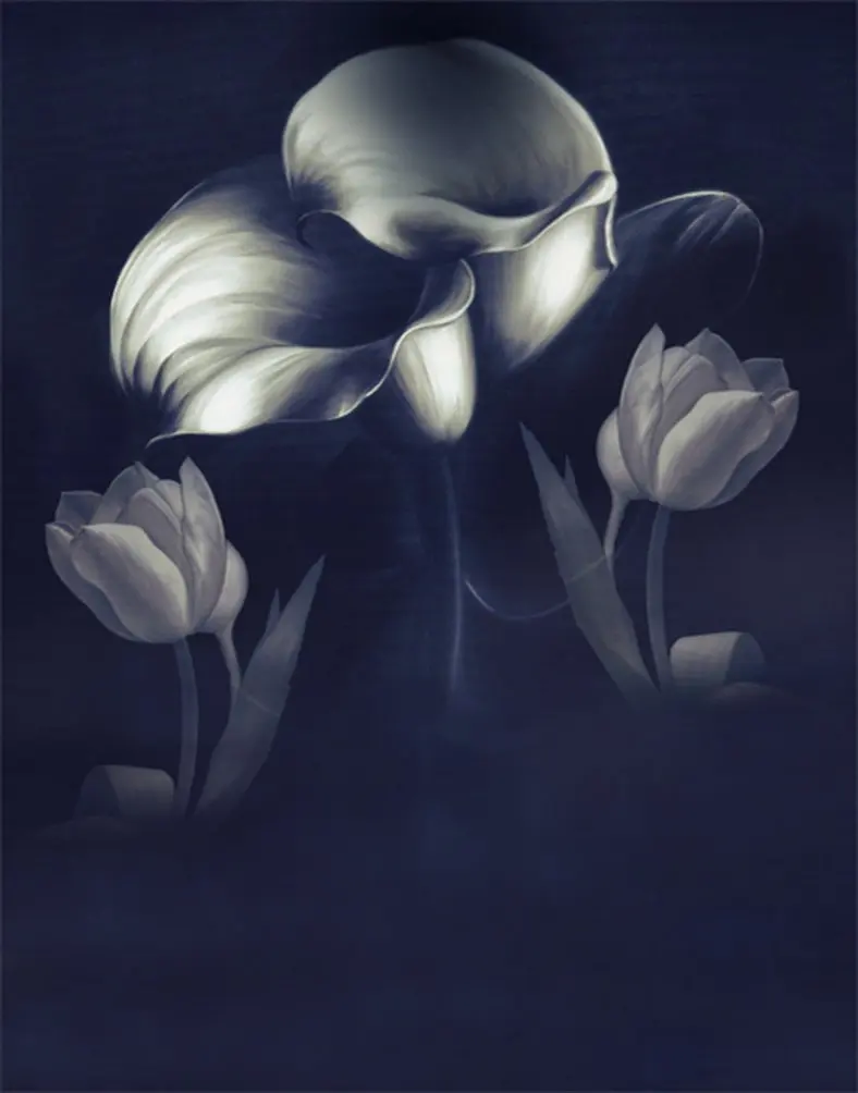 

5x7ft Black White Flowers Photography Backdrops Photo Props Studio Background