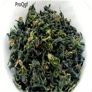 Capsella bursa-pasto 10 мл набор Coriandrum sativum - Цвет: Capsella bursa-pasto