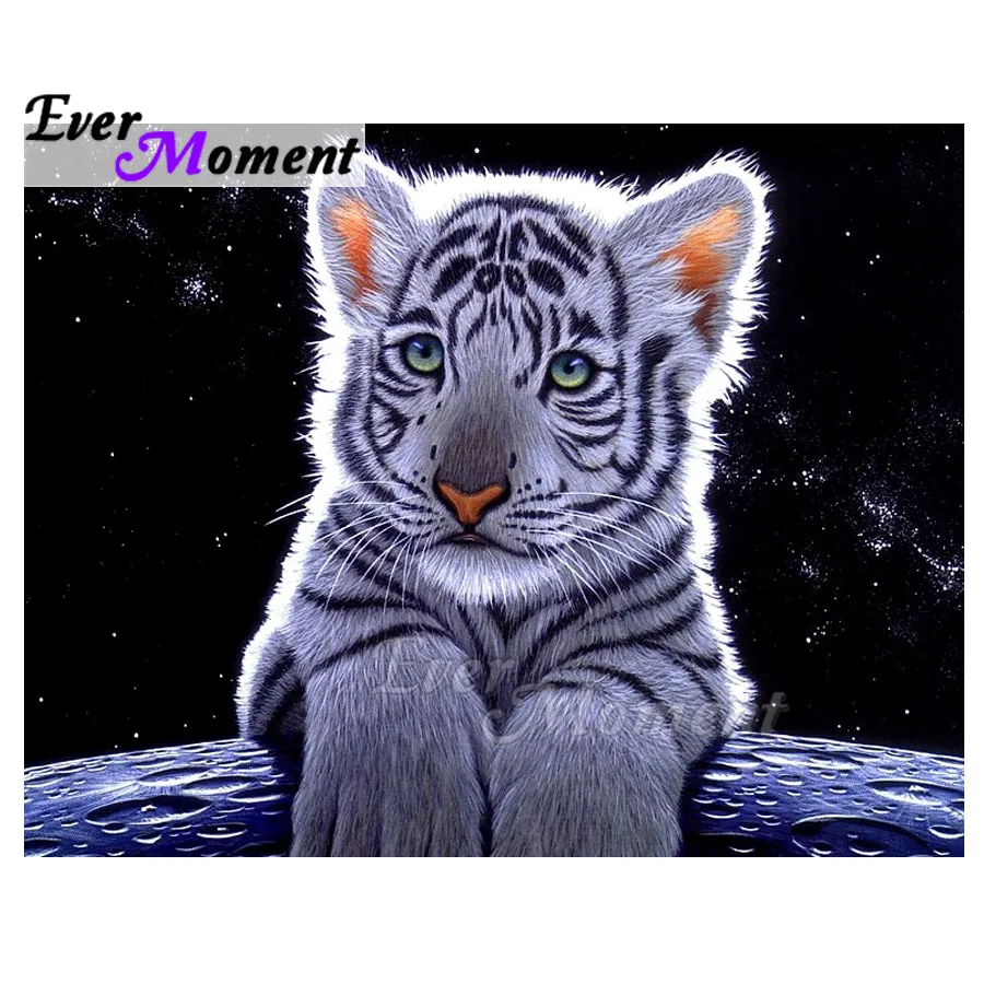 Ever Moment алмазная живопись тигр земля Вселенная Полная площадь дрель Мозаика