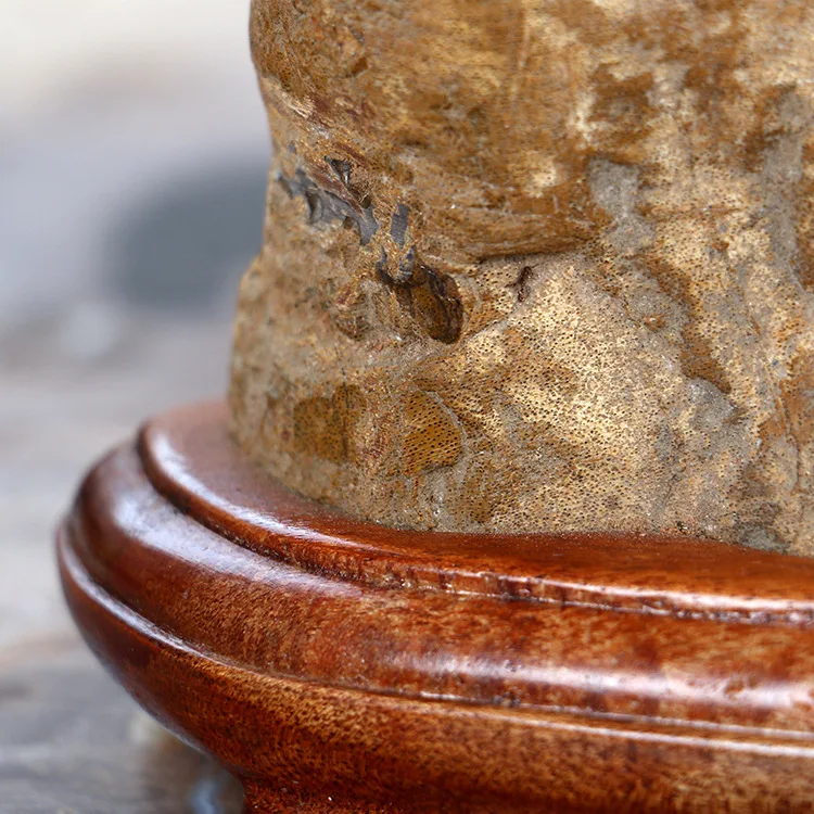 Натуральное дерево fossil Jesus портретное украшение креативное домашнее мягкое для