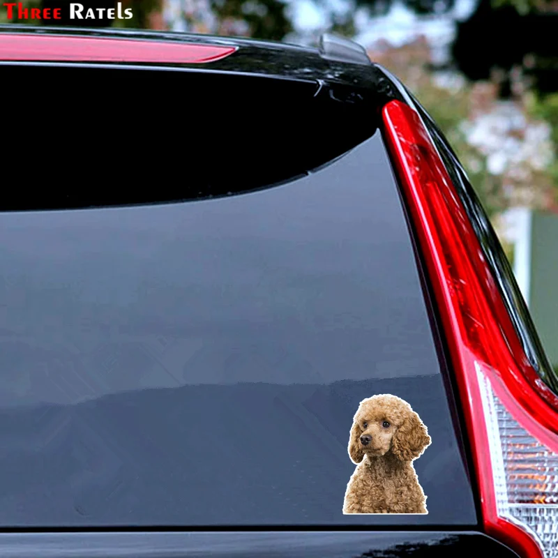 Три Ratels TRL536 #12x16 см Тедди собака с симпатичными машинками забавные наклейки