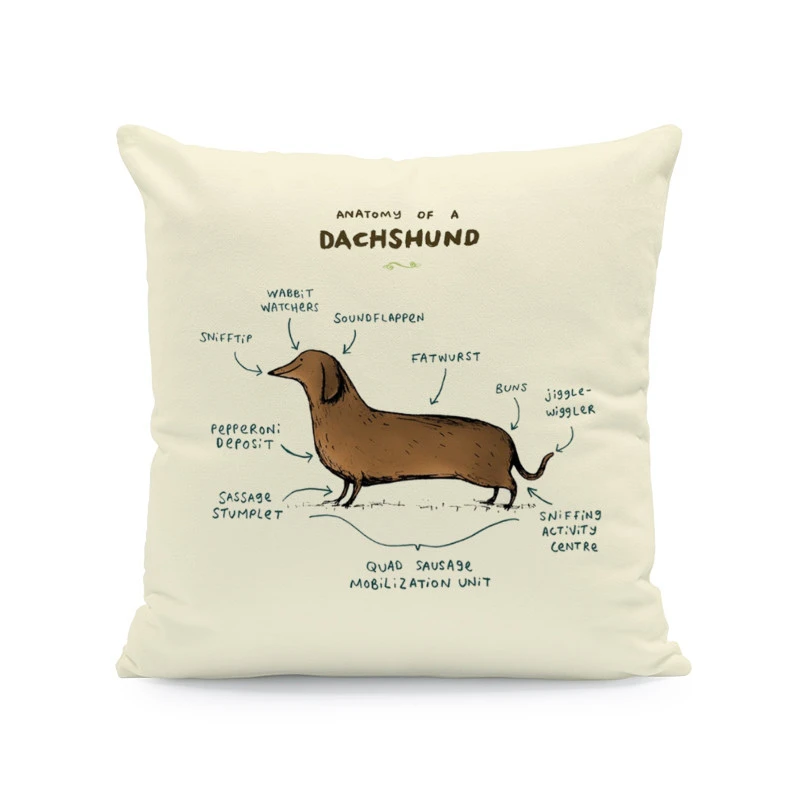 Forest Animal Body Analysis Cushion Cover Bird Squirrel Dachshund Dog Fox Hedgehog Hug Pillow 45Cm Peach Skin Decorative Pillow