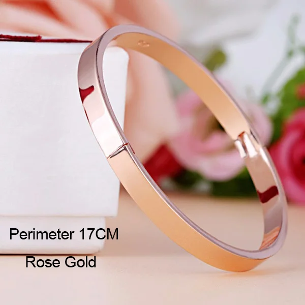 Rose Gold 17CM Роскошные браслеты-манжеты из нержавеющей стали, браслеты, топ, золотой цвет, бренд, CZ Кристалл, пряжка, любовь, очаровательный браслет для женщин, ювелирные изделия - Окраска металла: Rose Gold 17CM