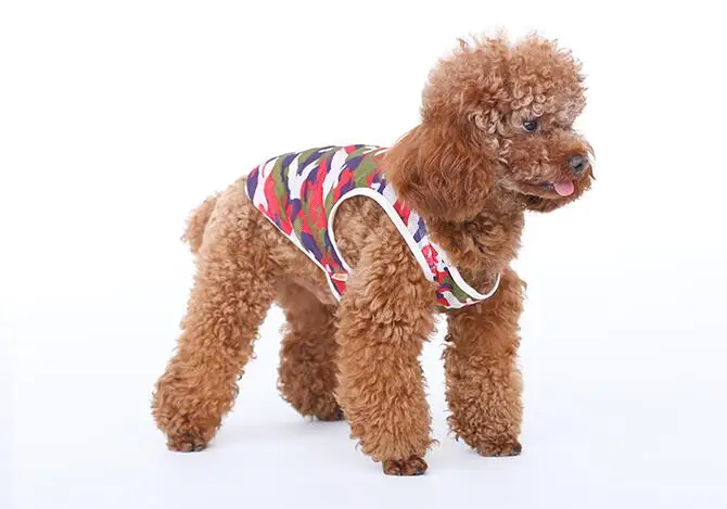 1 шт. летний сетчатый дышащий жилет для собак с изображением и кошек модный