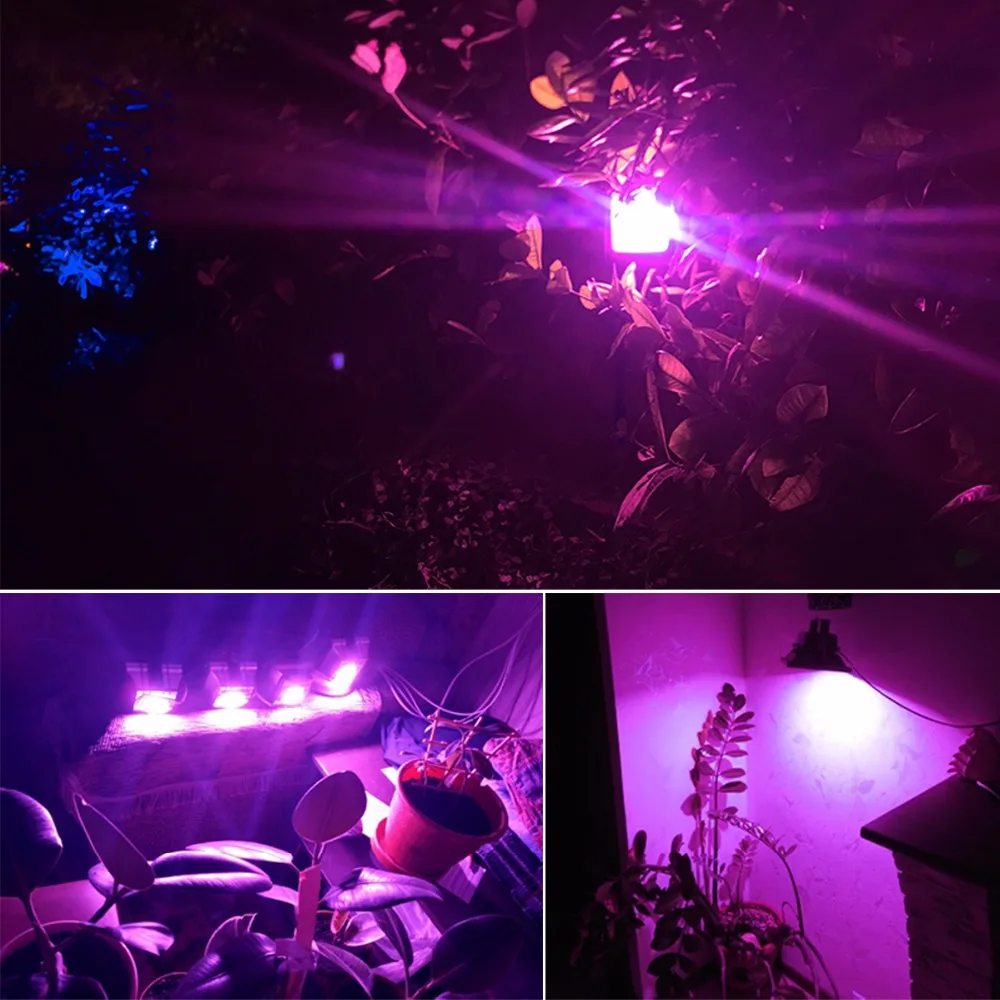 220V полный спектр COB светодиодный grow светильник LED чип 20 Вт 30 Вт 50 Вт Светодиодный светильник 380-840nm DIY светать светильник Потолочные Светильник комнатное растение растет с цветочным рисунком