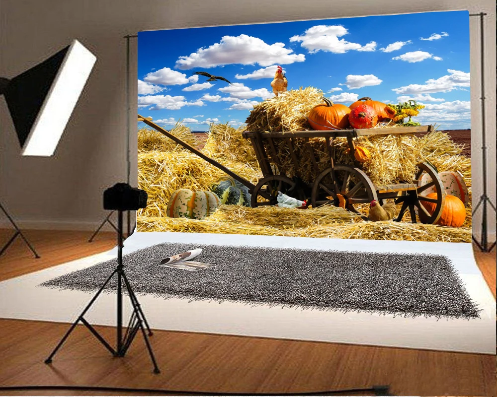 Laeacco ферма сено стек тыквы курица осень голубое небо живописные фотографии фоны