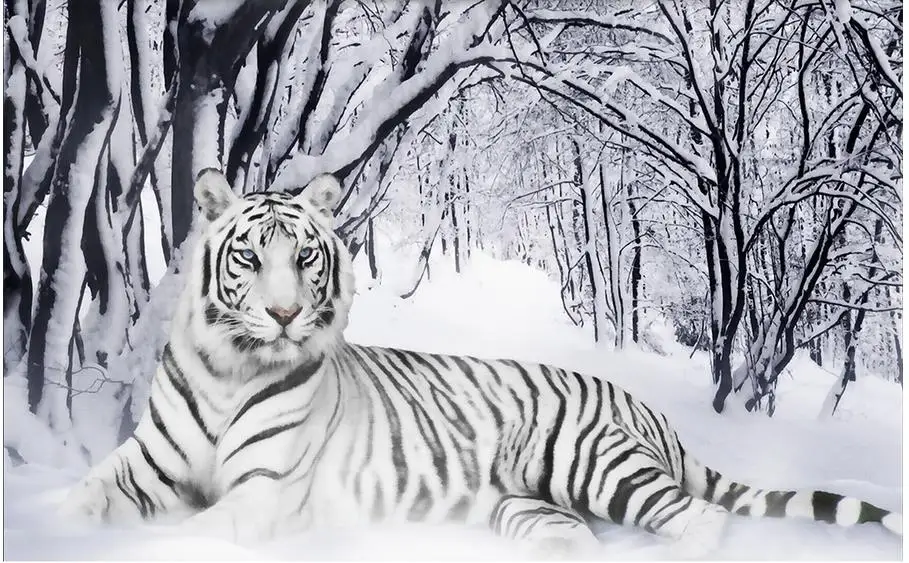 3D обои на заказ украшение для дома снежный белый тигр фон стены Фотообои|custom