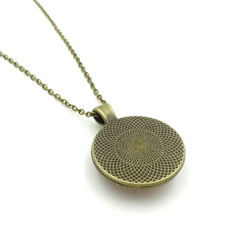 XUSHUI XJ Винтажные Ювелирные ожерелья и кулоны с рисунком енота стеклянный кабошон