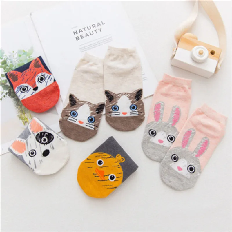 Милые животные хлопковые носки женские Kawaii кошка с собакой летние шорты тапочки