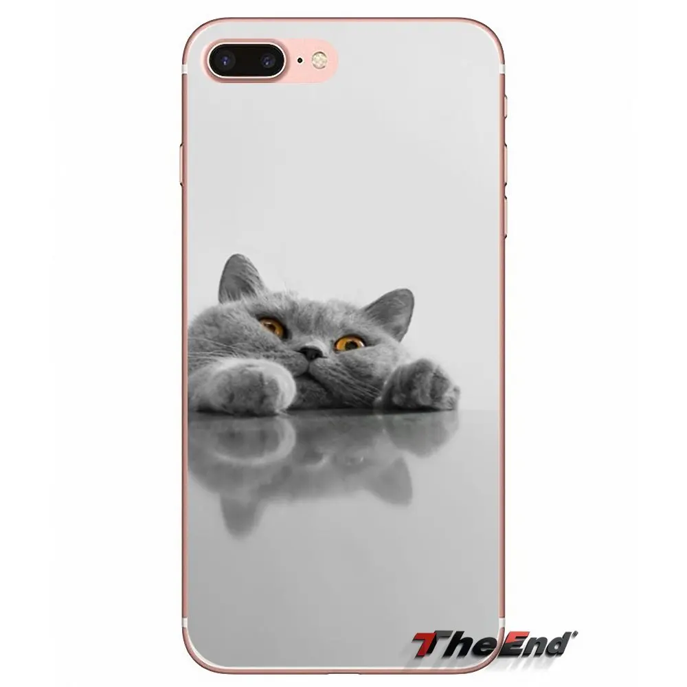 Забавные аксессуары для кошек чехлы телефонов Чехлы iPhone X 4 4S 5 5S 5C SE 6 6S 7 8 Plus Samsung