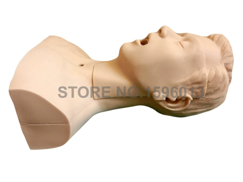 Vivid Suction Training Head Model Medical Teaching Simulation | Канцтовары для офиса и дома