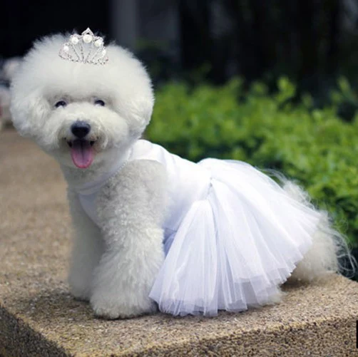 Белая собака свадебное платье с ожерельем щенок домашних животных вечерние
