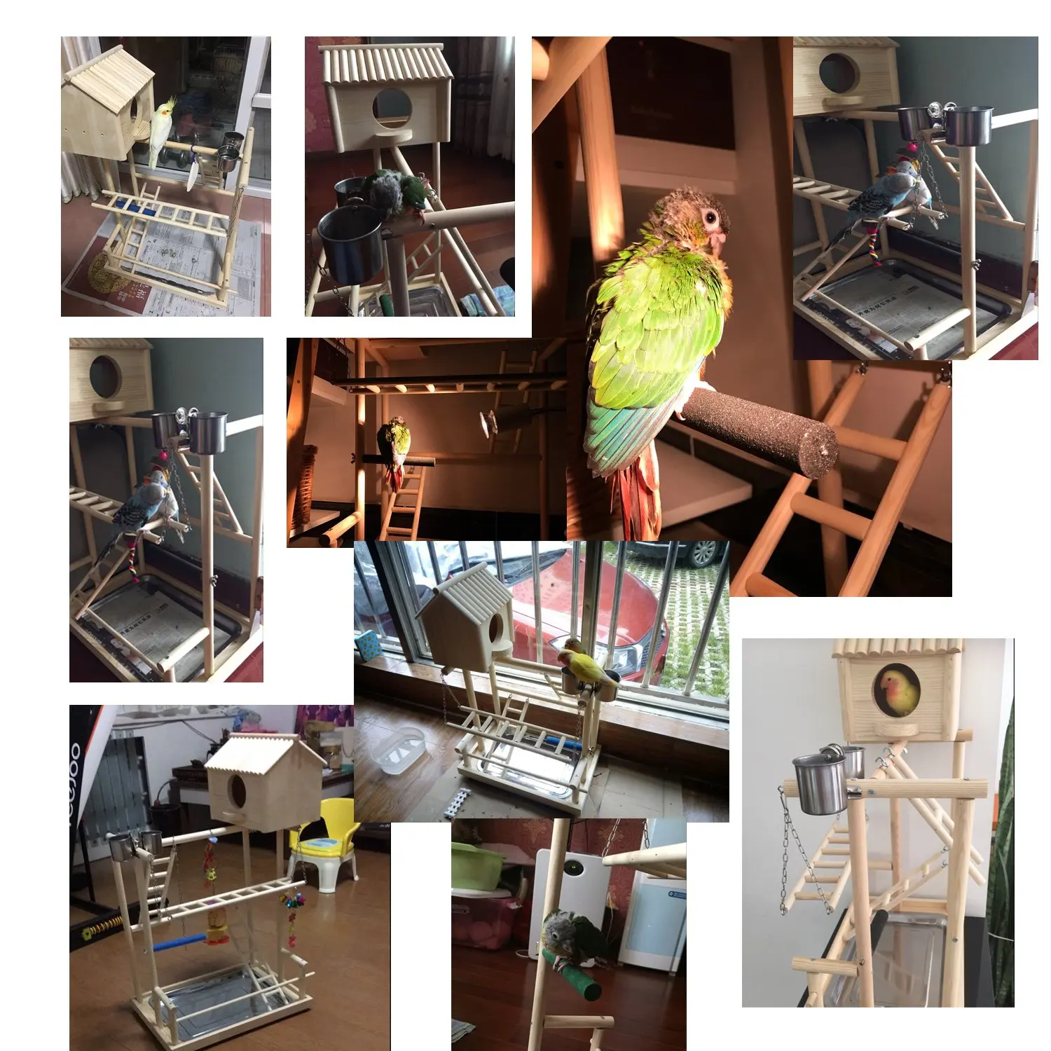 Птица перчи игровой стенд тренажерный зал Parrot игровая площадка качели мост