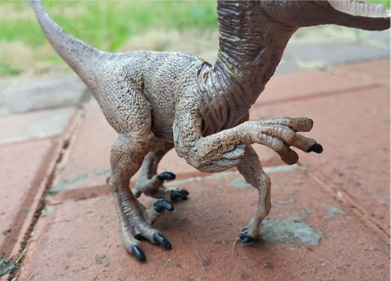 Моделирование велоцираптор Динозавр Модель животных игрушки динозавр игрушка