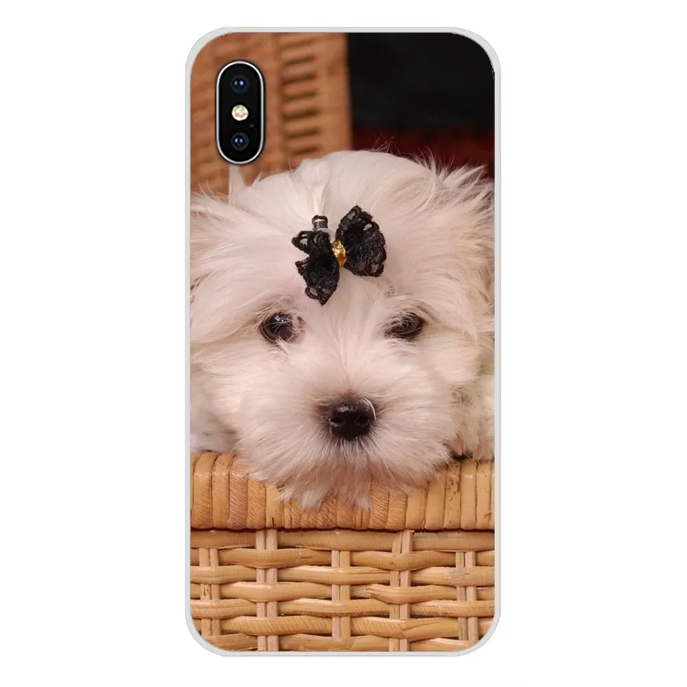images 11 Для huawei G7 G8 P7 P8 P9 P10 P20 P30 Lite Mini Pro P Smart плюс белый Мальтийский щенки собака сотовый Чехол для телефона Чехлы - Цвет: images 11